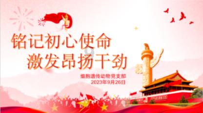 燃烧吧大脑装瓶子游戏
